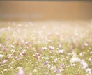 一緒に楽しい時間を過ごします 少しでも大歓迎♫お話ししませんか？♡ イメージ8