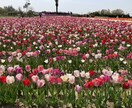 人生経験豊富な大人が親身にアドバイスします ~真剣なお悩みを聞いてほしい方大歓迎です~ イメージ5