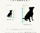 オーダーメイド！世界に一つのペットシール作ります 【送料無料】ハンドメイド♡ラミネート加工で表面ツヤツヤ♩ イメージ3