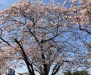 話を聞いて欲しい!その思い受け止めさせて頂きます 抑え込んでいる気持ちを吐き出してみませんか? イメージ1