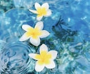 1分からでも大丈夫、あなたの気持ちに寄り添います 愚痴・雑談・相談なんでも大丈夫。話したら心がスッと楽になる イメージ4