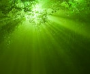 心が軽くなるレムリアンヒーリングを電話にて行います 自分責めや生きづらさを軽くし、本来の自分を取り戻したい方に イメージ6
