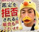 あなたの愛鳥オーラを画像にします 鳥のオーラにも、飼い主様へのメッセージが隠されています イメージ10