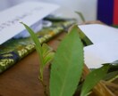 神社の神主が120日間の強力な特別大祈祷を行います 祝詞授与・祝詞音声、お守りと120日祈祷がパックの特別大祈祷 イメージ4