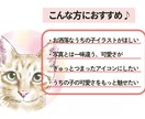 ふんわり可愛い♪水彩画風うちの子アイコン描きます オーダーメイドの愛猫イラスト♡癒し／ペット／似顔絵／SNS イメージ2