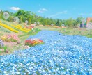 1日1組限定◇共鳴透視で彼がツインレイか暴きます 言葉を超えた不思議な縁。魂の片割れ（ツイン）か真偽を鑑定 イメージ4