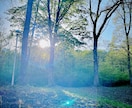 あなたの未来・相手の気持ち 霊感・霊視で鑑定します あの人の本音に霊視でアクセス✧視えた全てをお伝えします イメージ9
