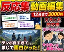 2chまとめ・反応集の動画をYMM4で編集します 台本と素材支給で完成12分までの基本編集を明確に代行 イメージ1