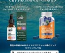 ECサイト用宣材／商材写真・合成写真を作成します 他にない目を引く画像を作成します！ イメージ6