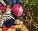 子育てで悩んでおられる方へ、ご相談にのります 我が子の事がわからない…子育てに悩んでる方へ イメージ2