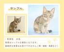 おうちの猫さんのイラストを描きます 【可愛さ満載イラストオーダー】アイコン・グッズ・プレゼントに イメージ2