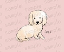 オーダーメイド ✤ 動物イラスト描きます 商用利用込み✨鳥、爬虫類、魚などなどなんでもOK イメージ7