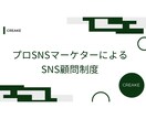 SNSマーケ顧問　月額3万円～運用戦略を支援します 現役のプロマーケターがSNS顧問制度スタート イメージ1