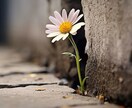 前向きになれるヒントをやさしくお伝えします 無理せず心の声に耳を傾けて。きっと大丈夫。 イメージ1