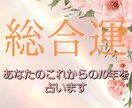 今後10年の総合運、あなただけの運命年表占います 幸運期・学びの年・停滞期を丁寧に解説。全体運がわかります。 イメージ1