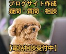 ブログサイト作成の疑問・質問・相談にお応えします 初心者＆未経験者おすすめ！電話通話で不安解消！ イメージ1
