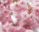男性向け♡いつもお疲れ様です♡わたしが癒します いつも頑張っているあなたへ。思い切り甘えてください！！ イメージ5