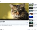 プライベートな動画配信システムを安くご提供します 自分だけのYouTube（投稿・再生・公開・共有）機能搭載 イメージ3