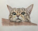 鉛筆で似顔絵描きます プレゼントやSNSのアイコンにいかがですか イメージ4