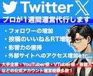 あなたのTwitter(X)をプロが運用代行します ご自身へのいいね・RT・フォロワーの増加等運営を全てお任せ！ イメージ1