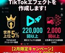 2月限定価格！《TikTokエフェクト》制作します 2月限定5,000円！【公式世界Top5%クリエイター】 イメージ1