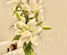 お話・相談相手になります 人生経験からのアドバイスもできる方にはさせていただきます。 イメージ2