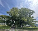 癒しのエネルギー、臼井式レイキをお届けします からだやこころを整えたい、リラックスしたい方へ イメージ1