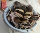 近くの川で天然ウナギを捕る方法教えます ウナギについてアドバイスします イメージ9
