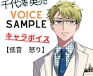 日本語も英語も可能！多彩な声質！高品質で納品します 声優の私があなたの作品に命を吹き込みます！ イメージ1