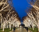留学のお悩み相談受けつけます 留学に対する悩み・不安などご相談ください イメージ4