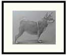 ペットのリアルな肖像画（鉛筆画）を描きます 犬・猫・小動物・爬虫類・魚・昆虫など。原画を郵送いたします。 イメージ1