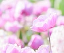 ママ向け♪7往復☆交換日記みたいにお話します 雑談や愚痴聞き、お悩み相談など傾聴をベースにお聴きします イメージ7