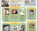 あなたの作ったチラシの改善アドバイスをします! イメージ1