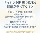 第2弾：白龍チャネリングで霊視します サイレント期間の意味を解き明かします イメージ2