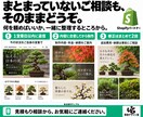 Shopifyのストア構築・改修に対応します 部分改修３万円〜／新規構築１５万円〜。画像制作も対応 イメージ10