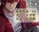 初心者歓迎！チャート分析、トレード添削致します 現役のプロトレーダーが本当の投資を伝授します！ イメージ1