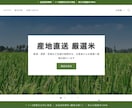 Shopifyと会社HPの基礎構築代行します 【最短5日・格安】「まずは形にしたい」をシンプルに叶えます。 イメージ1