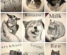 犬•猫•ペットの似顔絵を鉛筆画で丁寧に描きます 【先着3名様限定】今だけ特別価格で受付いたします イメージ4