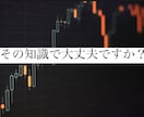難しい裁量一切なし！少ない時間でパパッと稼げます ノウハウ通りにエントリー。独自の”勝てる”資金管理法も公開 イメージ1