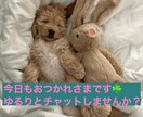 ３日間お友達のようにやりとりします ☆誰かと繋がりたい時、頼ってください♬ イメージ1