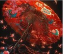 未来を透視し、彼の本音をお伝えします 私の本当の運命はどうなっているの？こたえはここにあります。 イメージ15