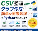 CSV整理・データ加工をPythonで対応します 研究実績あり・国際学会経験で安心対応 イメージ1