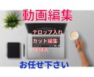Youtube向け動画編集いたします 実績が少ない為、低価格で受注いたします イメージ1