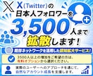 Xの日本人フォロワーを3500人まで拡散します Twitter 既存ネットワークを活用した認知拡大サービス！ イメージ2