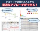 ECのプロがアマゾン/楽天を“戦略的に”運営します PDCAで結果が出る！分析・実務・画像制作がフルセット◎ イメージ2