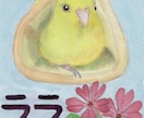 愛鳥さんを水彩絵の具で【ミニ色紙】に描きます 鳥さんの誕生日・記念日にちなんだお花を添えて水彩画を描きます イメージ6