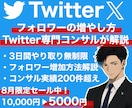 Twitter,Xでのフォロワーの増やし方教えます ご希望の層を的確に狙える専属コンサルの徹底解説！質疑応答◎ イメージ1