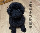 京都弁であなたの話を好きなだけ聞きます はんなりした雰囲気に癒されたい方はぜひおいでやー(^^) イメージ1