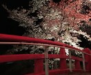 仕事の悩み、恋愛相談の愚痴聞きます 私の今までの経験があなたのお役に立てれば幸いです イメージ1