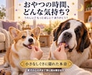 ペットの気持ち・本音を霊視タロットで丁寧に占います 犬猫限定｜今の本音・望み・飼い主様への想いを丁寧にお届け イメージ7